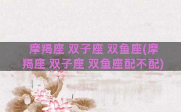 摩羯座 双子座 双鱼座(摩羯座 双子座 双鱼座配不配)
